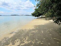 Pasir Ris Beach Park (D18), Semi-Detached #481275561